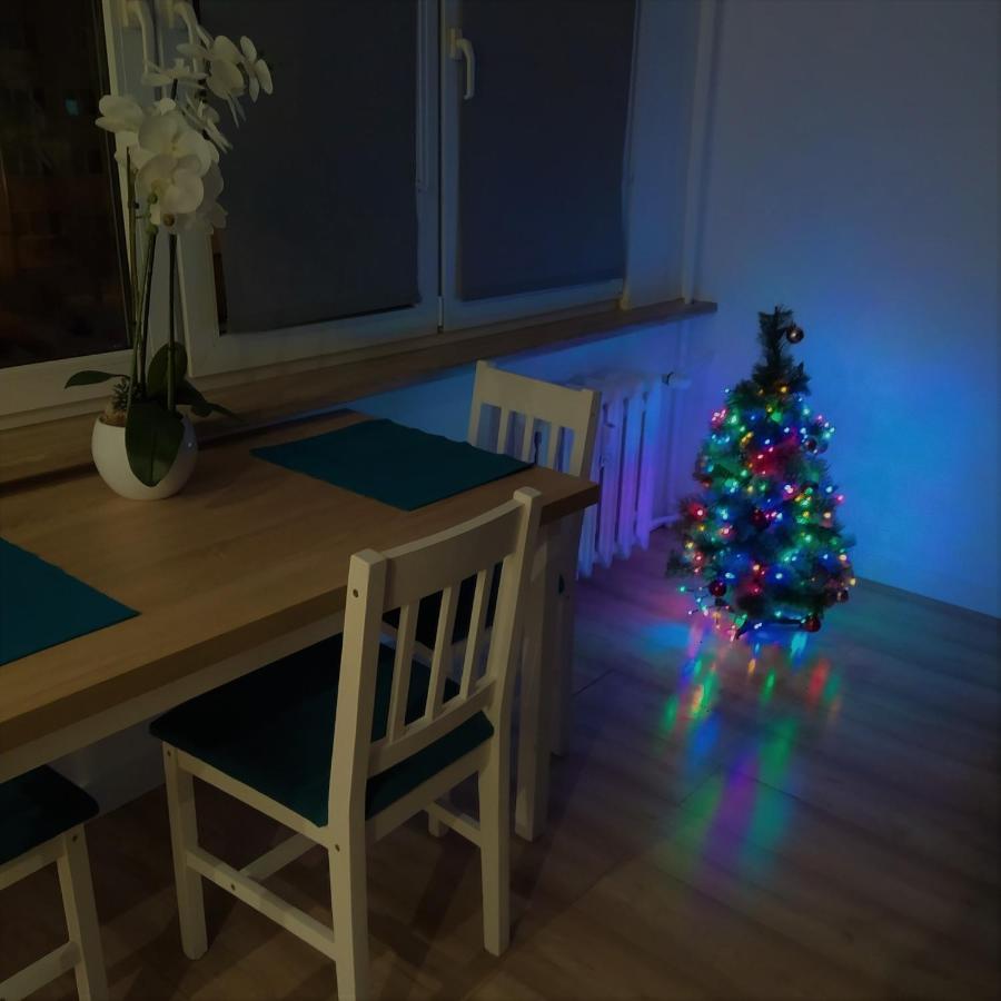Apartament Torun Dreams Kültér fotó