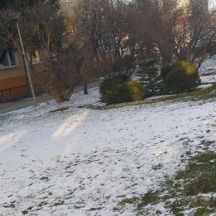 Apartament Torun Dreams Kültér fotó